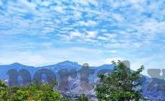人妻免费伦费-探索人妻角色的多元面向,爱与尊重的平衡点